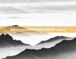 币安与sunny的区块链融合之旅币安 sunny