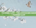 B、TC量化交易平台大全，深度解析与对比分析B,TC量化交易平台大全