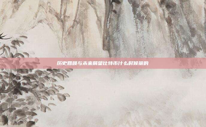 历史回顾与未来展望比特币什么时候崩的