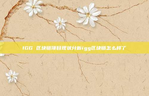 IGG 区块链项目现状分析igg区块链怎么样了