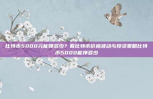 比特币5000元能赚多少？看比特币价格波动与投资策略比特币5000能挣多少