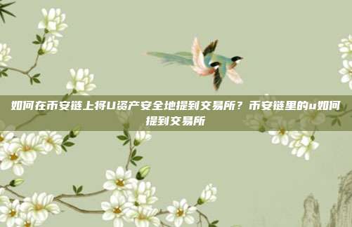 如何在币安链上将U资产安全地提到交易所？币安链里的u如何提到交易所