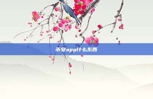 币安app什么东西