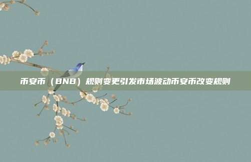 币安币（BNB）规则变更引发市场波动币安币改变规则