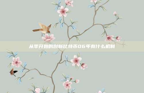 从零开始的创新比特币06年有什么机制