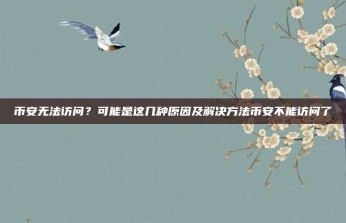 币安无法访问？可能是这几种原因及解决方法币安不能访问了