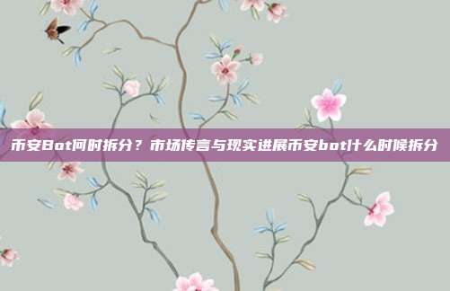 币安Bot何时拆分？市场传言与现实进展币安bot什么时候拆分