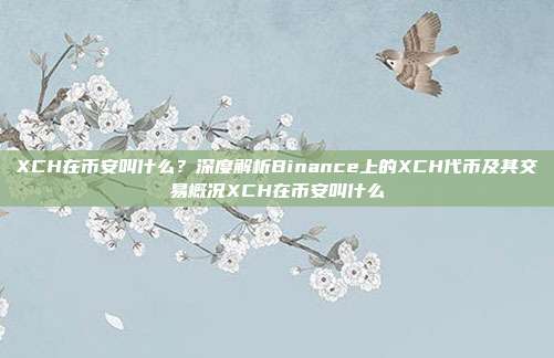 XCH在币安叫什么？深度解析Binance上的XCH代币及其交易概况XCH在币安叫什么