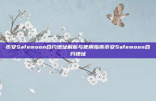 币安Safemoon合约地址解析与使用指南币安Safemoon合约地址