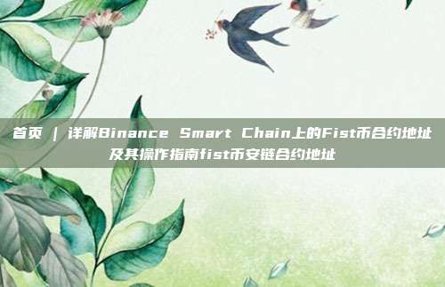 首页 | 详解Binance Smart Chain上的Fist币合约地址及其操作指南fist币安链合约地址