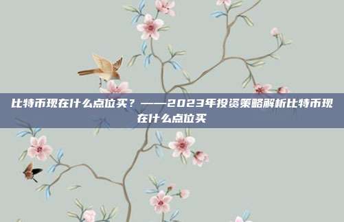 比特币现在什么点位买？——2023年投资策略解析比特币现在什么点位买