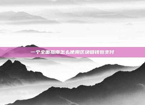 一个全面指南怎么使用区块链钱包支付