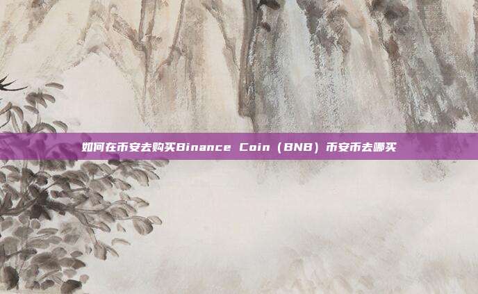 如何在币安去购买Binance Coin（BNB）币安币去哪买