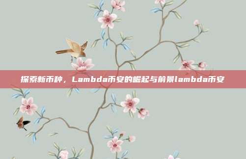 探索新币种，Lambda币安的崛起与前景lambda币安