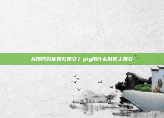 龙币何时能登陆币安？pig币什么时候上币安