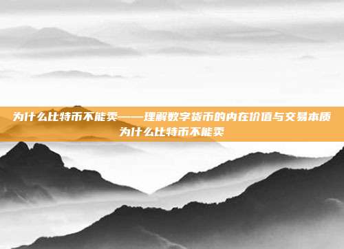 为什么比特币不能卖——理解数字货币的内在价值与交易本质为什么比特币不能卖