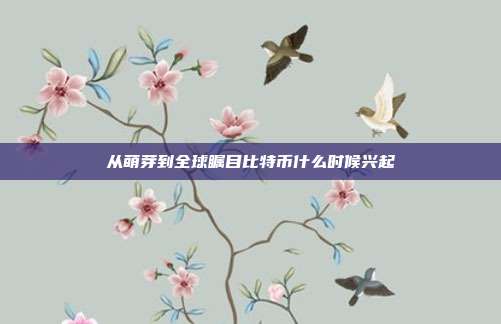 从萌芽到全球瞩目比特币什么时候兴起