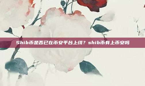 Shib币是否已在币安平台上线？shib币有上币安吗