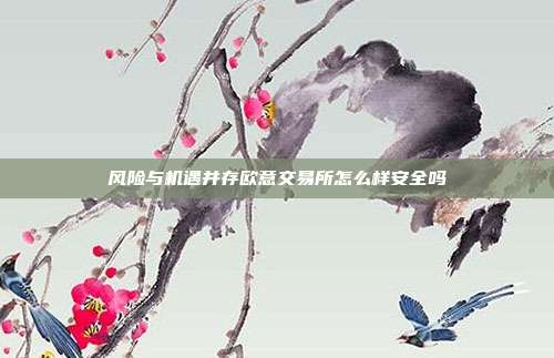 风险与机遇并存欧意交易所怎么样安全吗