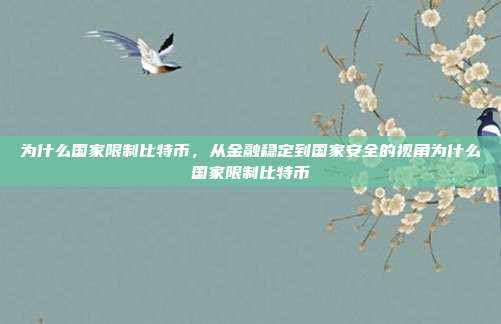 为什么国家限制比特币，从金融稳定到国家安全的视角为什么国家限制比特币