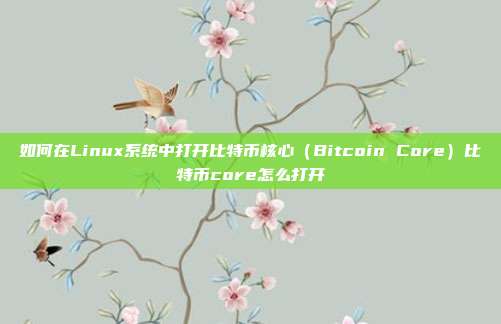 如何在Linux系统中打开比特币核心（Bitcoin Core）比特币core怎么打开