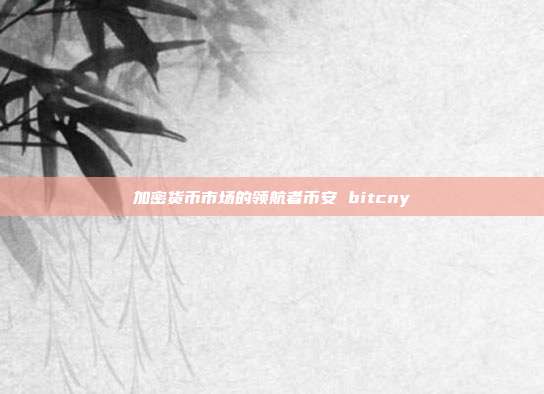 加密货币市场的领航者币安 bitcny