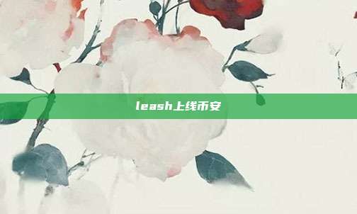 leash上线币安