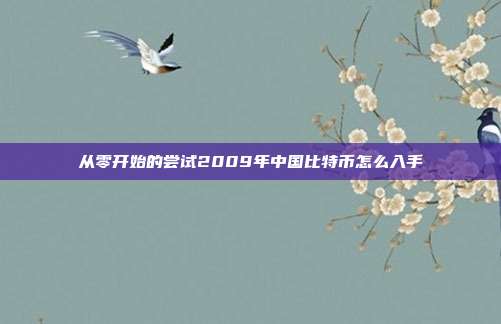 从零开始的尝试2009年中国比特币怎么入手