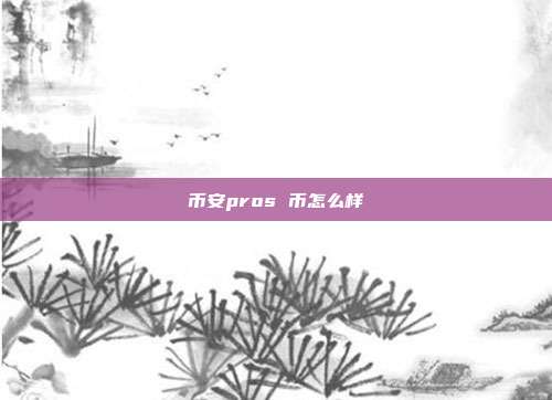 币安pros 币怎么样