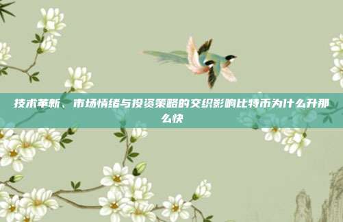 技术革新、市场情绪与投资策略的交织影响比特币为什么升那么快