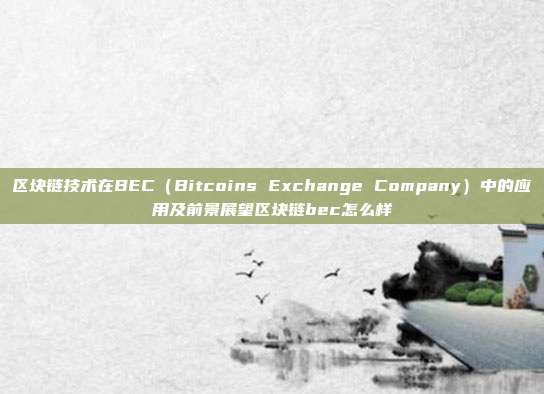 区块链技术在BEC（Bitcoins Exchange Company）中的应用及前景展望区块链bec怎么样