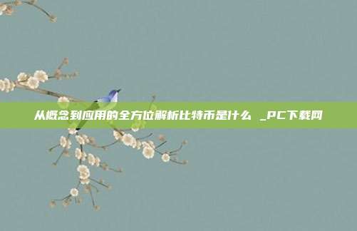 从概念到应用的全方位解析比特币是什么 _PC下载网