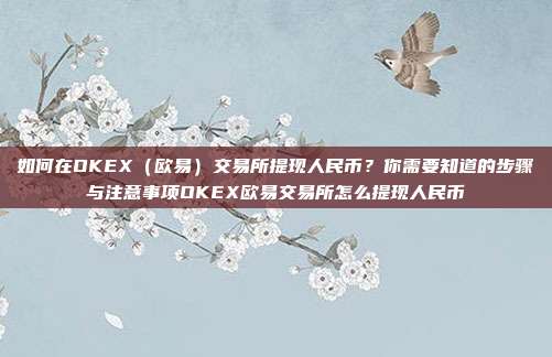 如何在OKEX（欧易）交易所提现人民币？你需要知道的步骤与注意事项OKEX欧易交易所怎么提现人民币