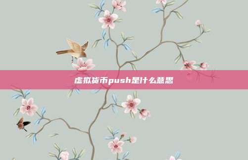 虚拟货币push是什么意思