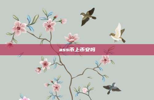 ass币上币安吗