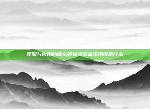 理解与应用的复杂领域虚拟货币净值是什么