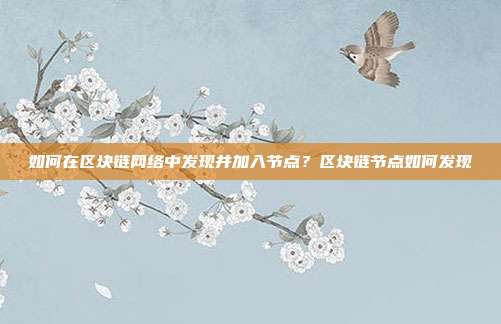 如何在区块链网络中发现并加入节点？区块链节点如何发现