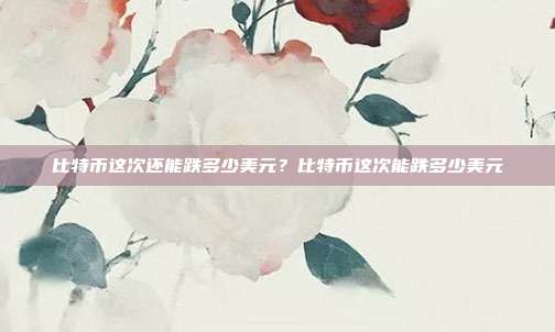 比特币这次还能跌多少美元？比特币这次能跌多少美元