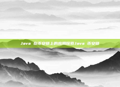 Java 在币安链上的应用探索Java 币安链