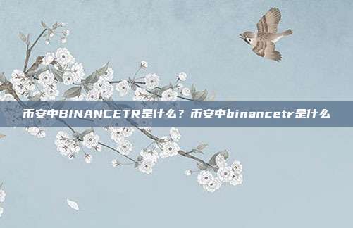 币安中BINANCETR是什么？币安中binancetr是什么