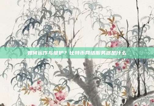 如何运作与维护？比特币网络服务器是什么