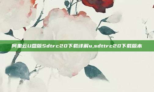 阿里云U盘版Sdtrc20下载详解u,sdttrc20下载版本