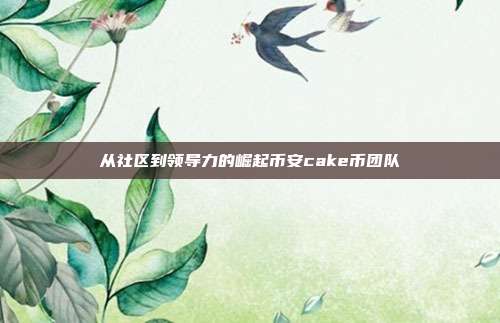 从社区到领导力的崛起币安cake币团队