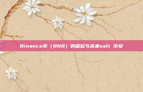 Binance币（BNB）的崛起与未来salt 币安