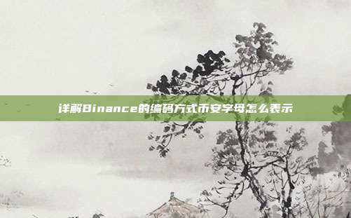 详解Binance的编码方式币安字母怎么表示