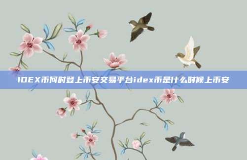 IDEX币何时登上币安交易平台idex币是什么时候上币安