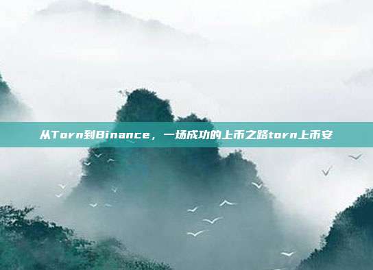 从Torn到Binance，一场成功的上币之路torn上币安