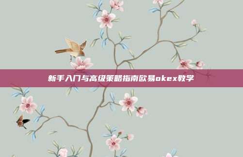 新手入门与高级策略指南欧易okex教学