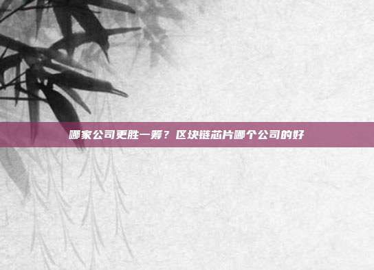 哪家公司更胜一筹？区块链芯片哪个公司的好