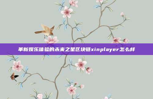 革新娱乐体验的未来之星区块链xinplayer怎么样